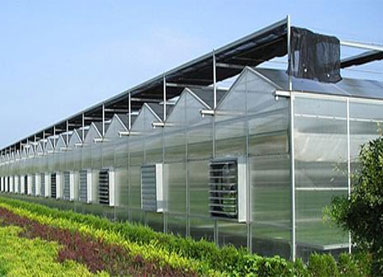 "Three elements" of artificial lighting in Greenhouse
