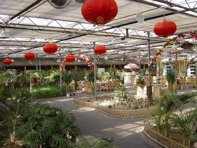 Ecological Restaurant