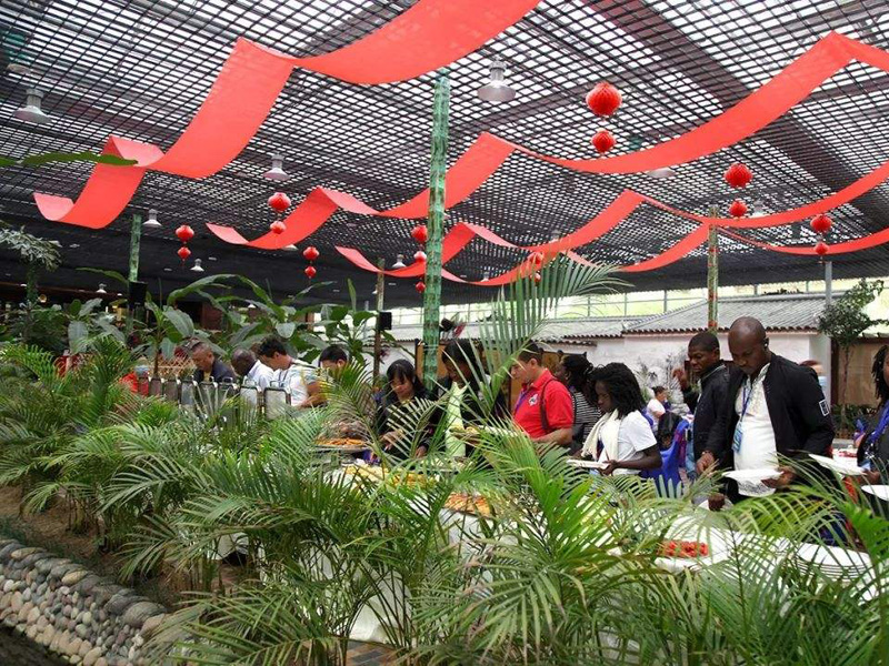 Ecological Restaurant
