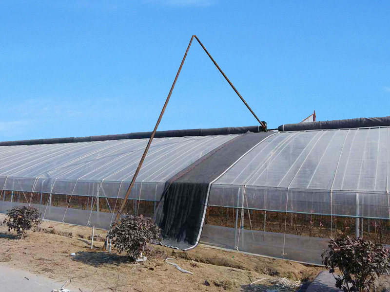 Solar greenhouse