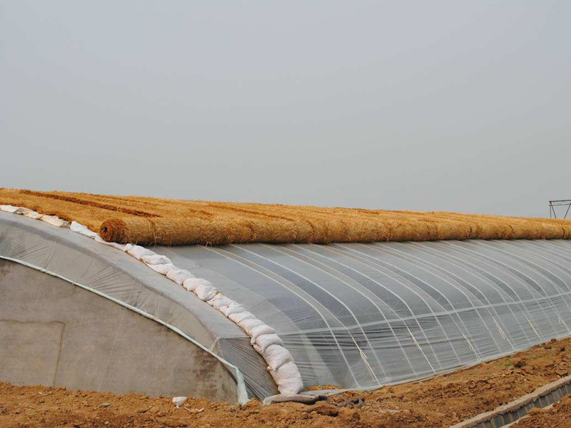 Solar greenhouse