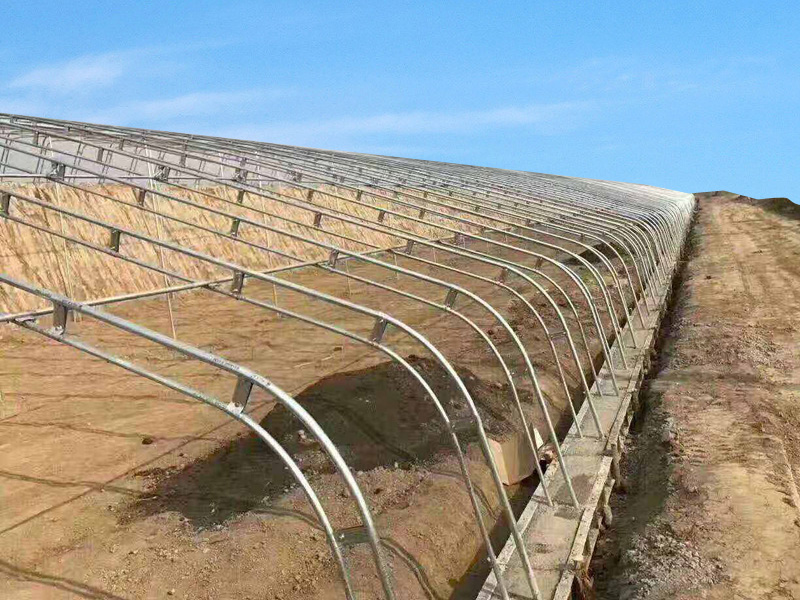 Solar greenhouse