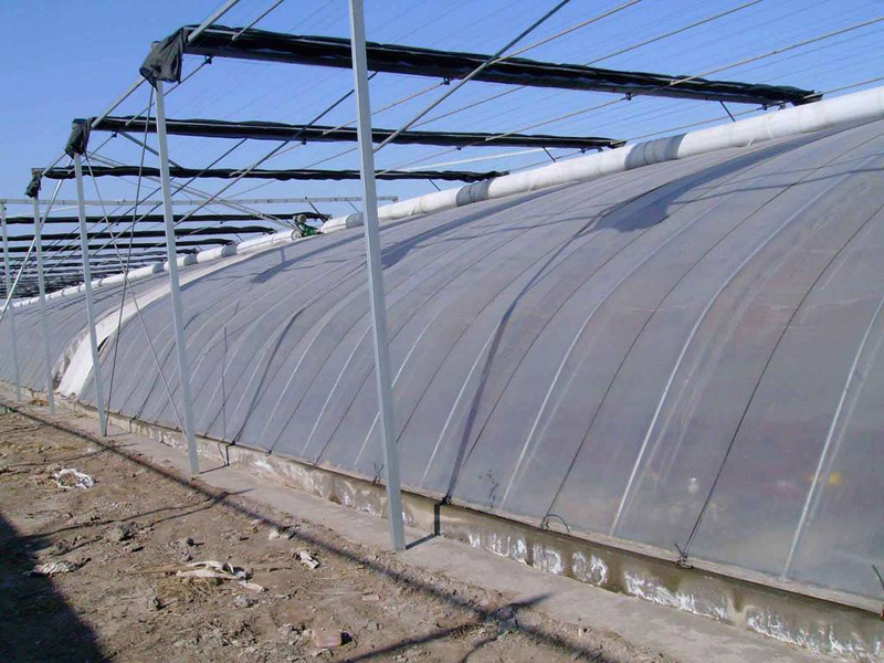 Solar greenhouse