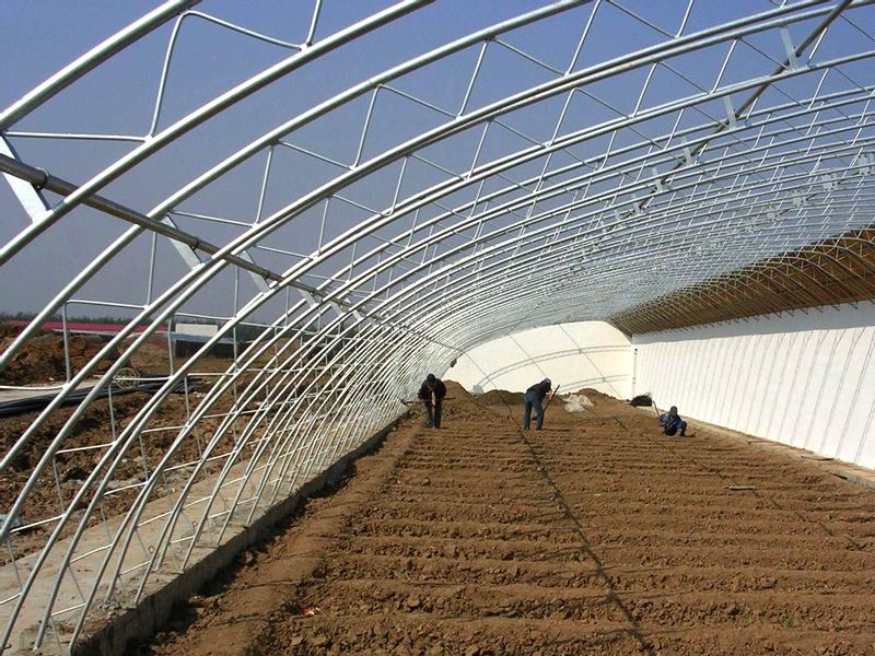 Solar greenhouse