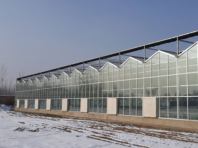 Intelligent glass green…