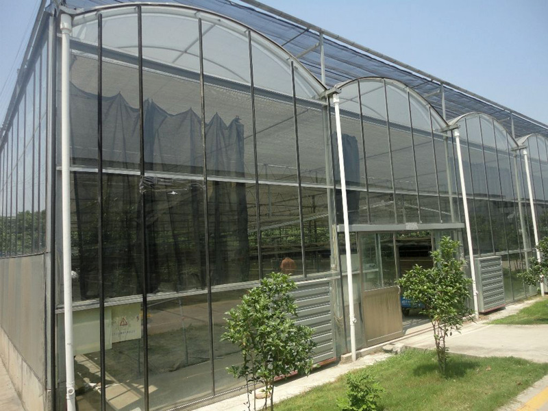 Intelligent glass green…