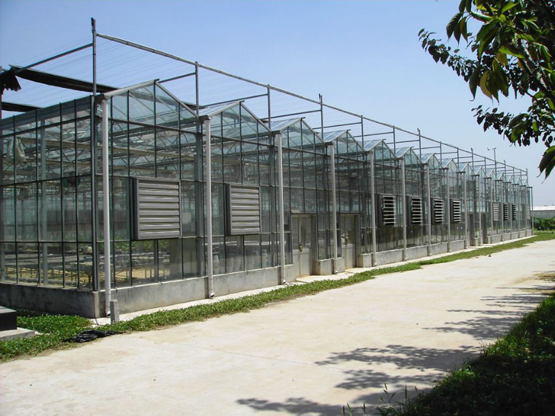 Intelligent glass green…