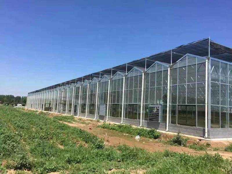 Intelligent glass green…