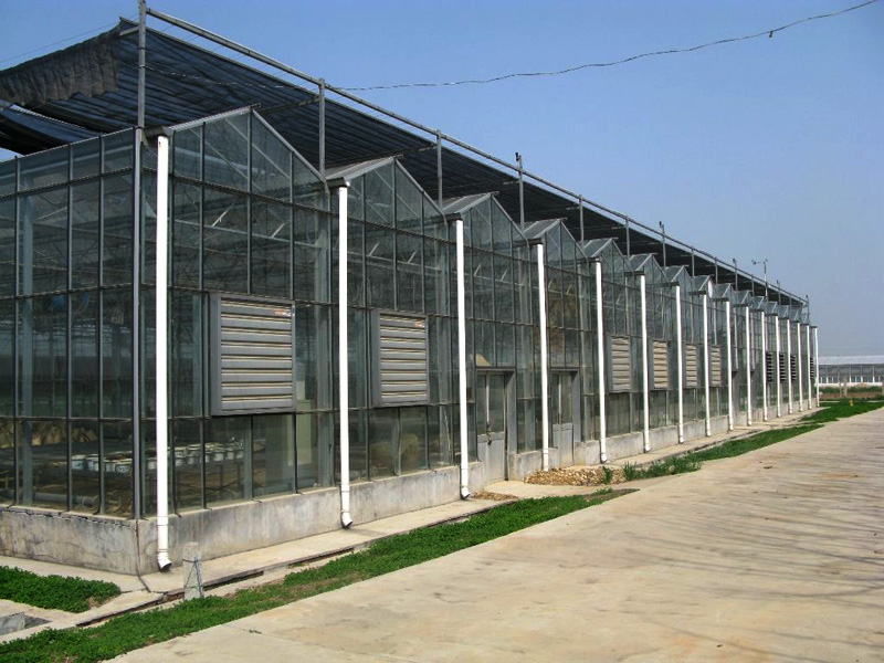 Intelligent glass green…