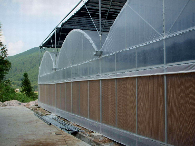 Multi span greenhouse