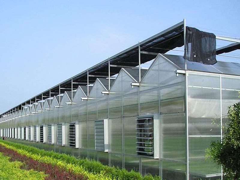 Venlo greenhouse