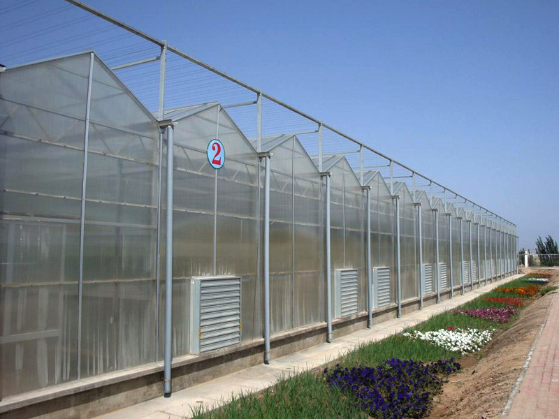 Venlo greenhouse
