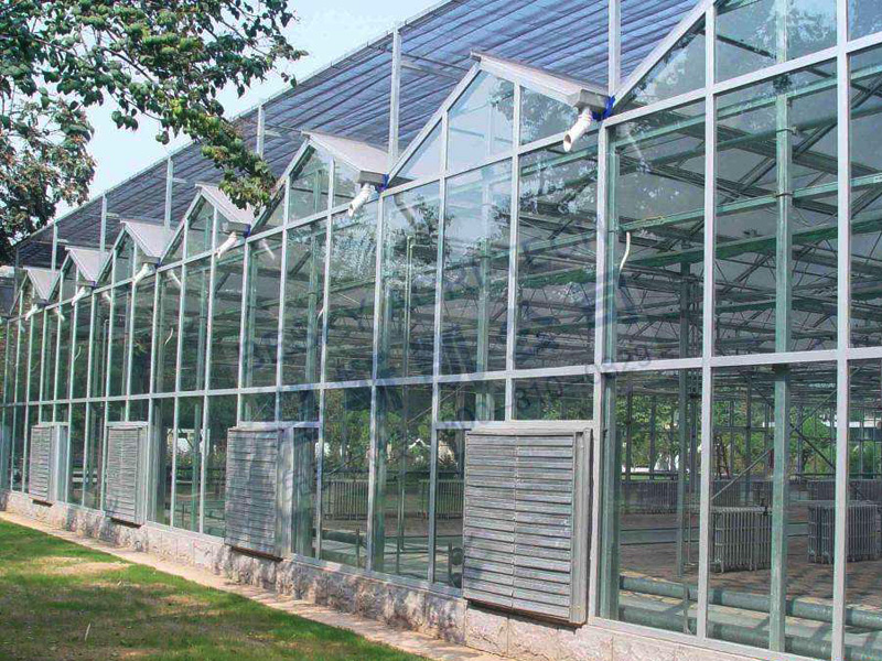 Venlo greenhouse