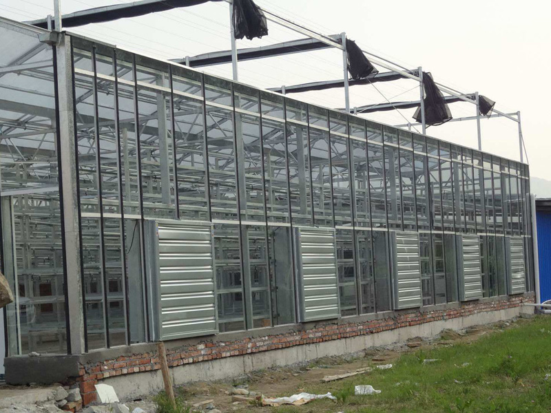 Venlo greenhouse