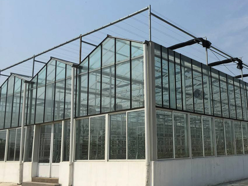 "Three elements" of artificial lighting in Greenhouse "Three elements" of artificial lighting in Greenhouse