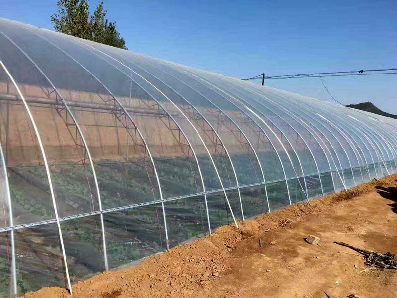 Greenhouse manufacturers explain the principle of glass greenhouse Greenhouse manufacturers explain the principle of glass greenhouse