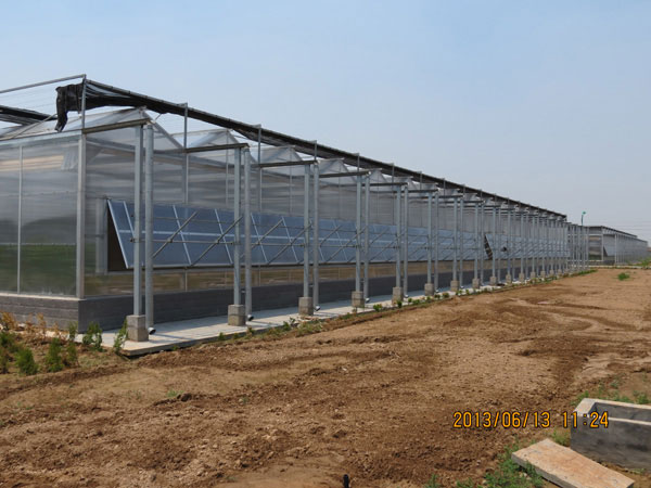 Polycarbonate greenhous…