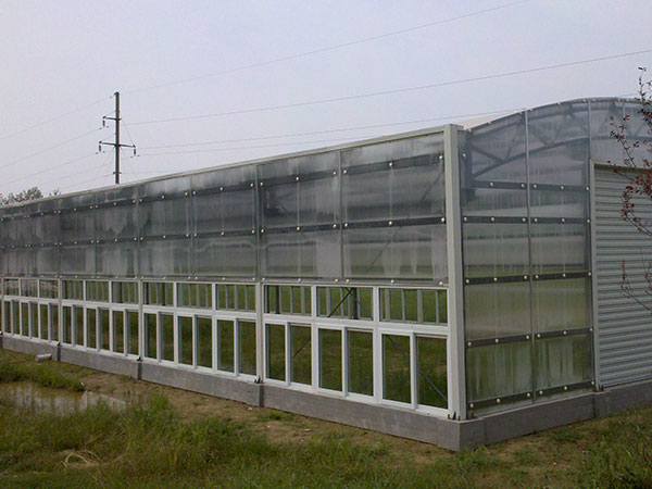 Polycarbonate greenhous…