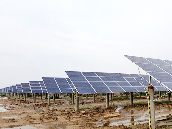 Photovoltaic greenhouse…