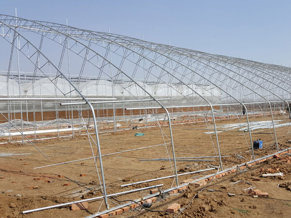 Tunnel greenhouse