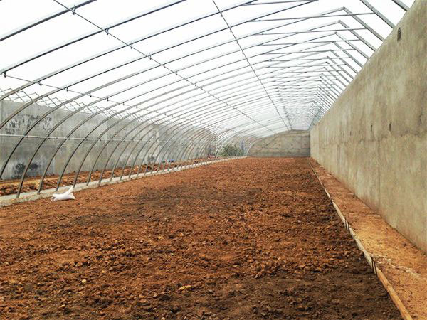 Steel structure greenho…