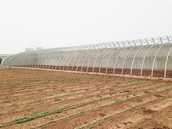 Steel structure greenho…