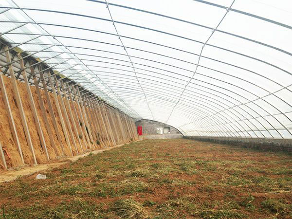 Steel structure greenho…