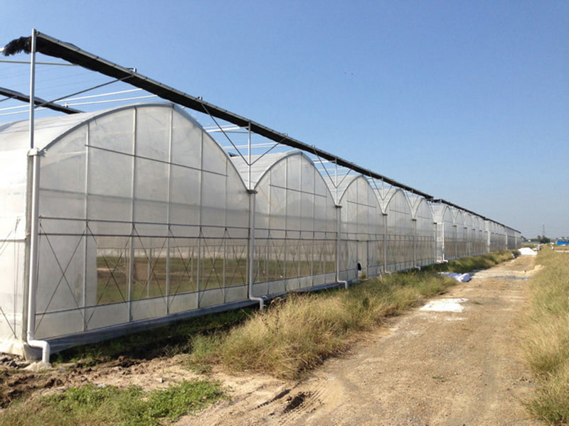 Film greenhouse