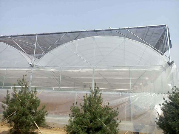 Film greenhouse