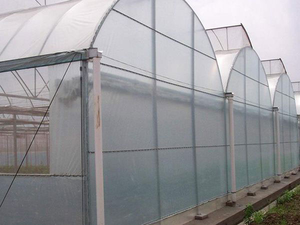 Film greenhouse