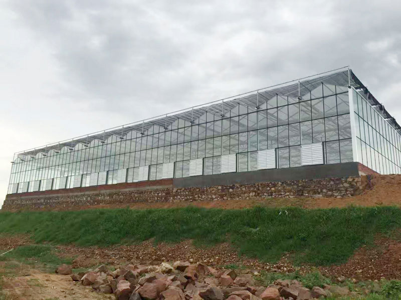 Intelligent glass green…