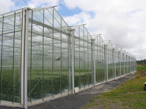 Intelligent glass green…