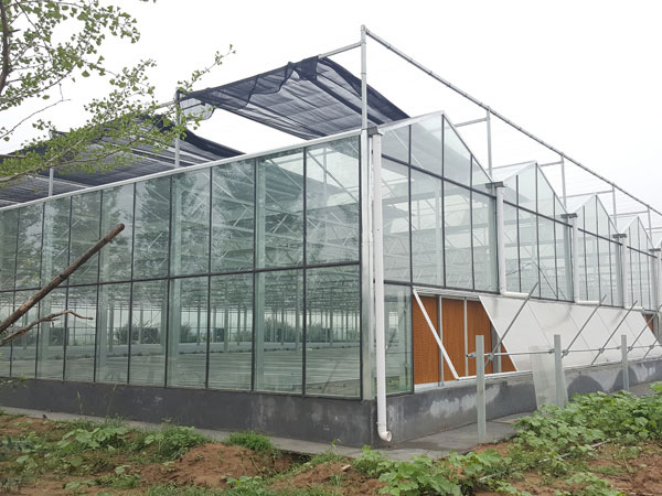 Intelligent glass green…