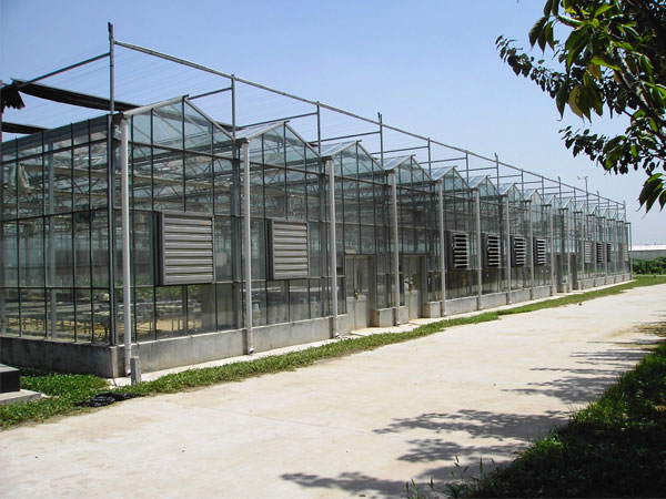 Intelligent glass green…