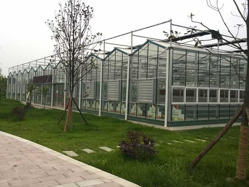 Multi span greenhouse