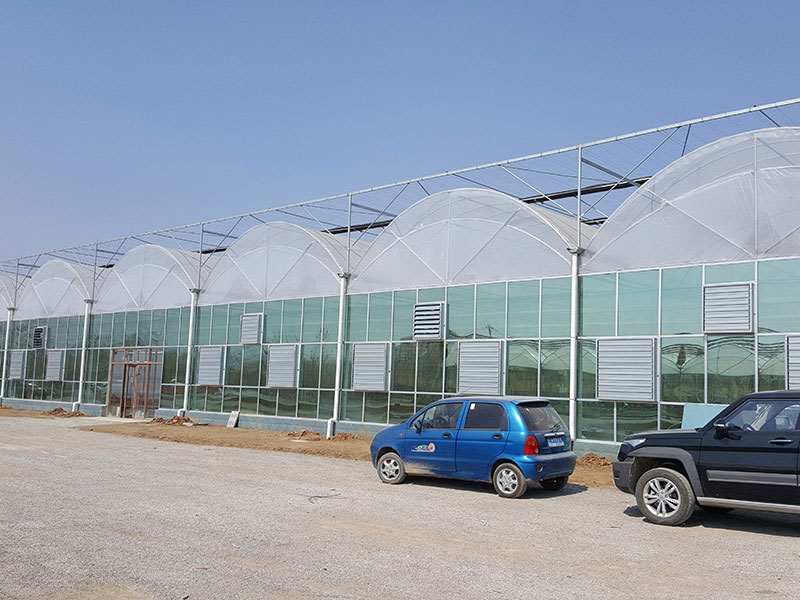 Multi span greenhouse