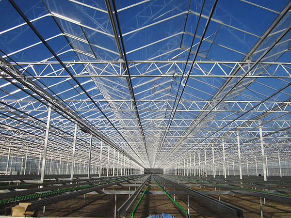 Multi span greenhouse