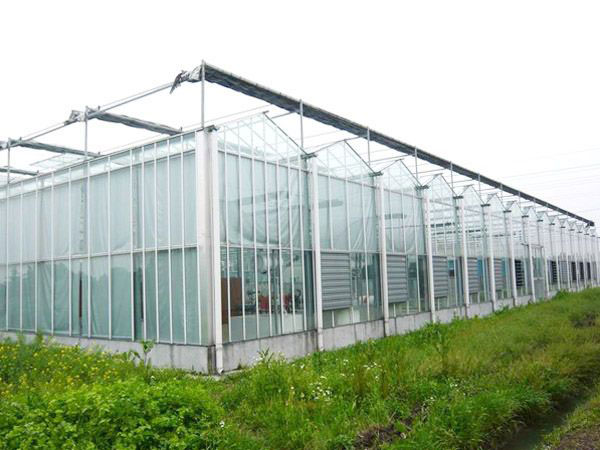 Multi span greenhouse