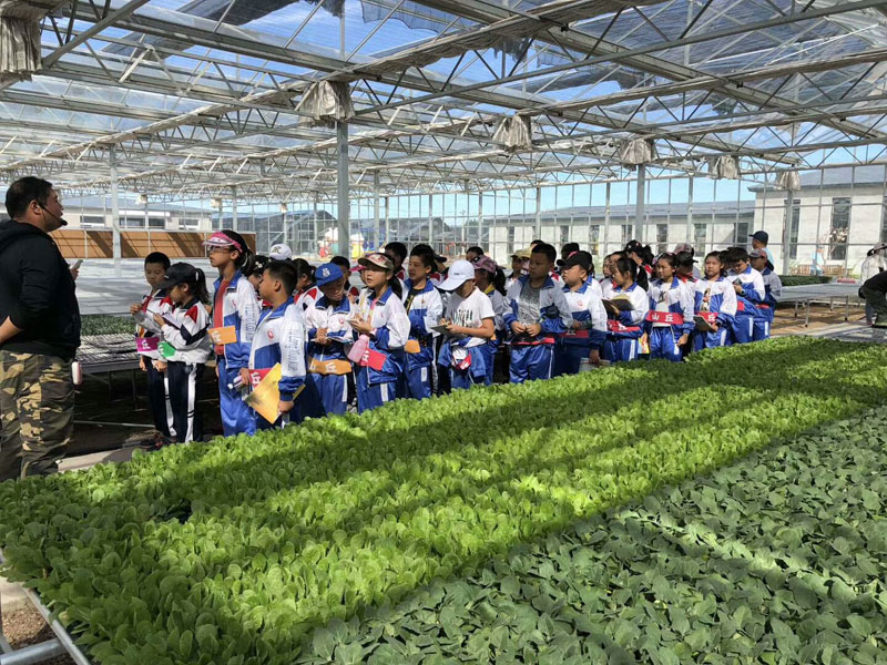 Soilless cultivation ca…
