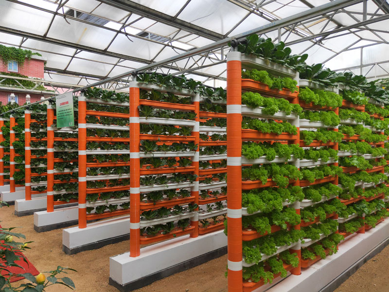Soilless cultivation ca…