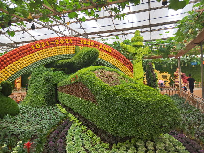 Soilless cultivation ca…