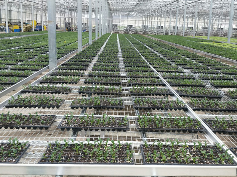 Soilless cultivation ca…